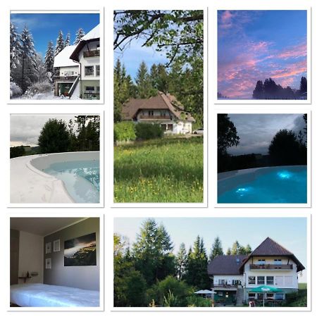 B & B Der Waldvogel Herrischried Zewnętrze zdjęcie