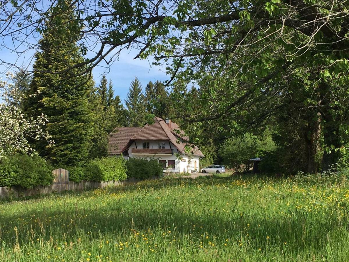 B & B Der Waldvogel Herrischried Zewnętrze zdjęcie